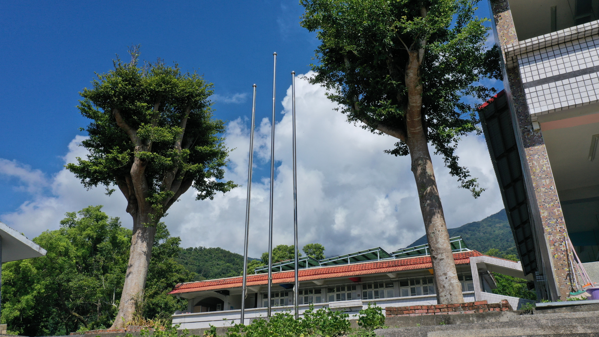 https://www.zfps.hlc.edu.tw/uploads/tadgallery/2025_06_24/1223_DJI_0026.JPG 