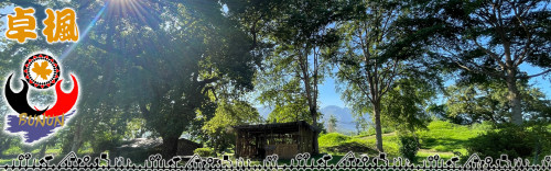 photo sn 1170